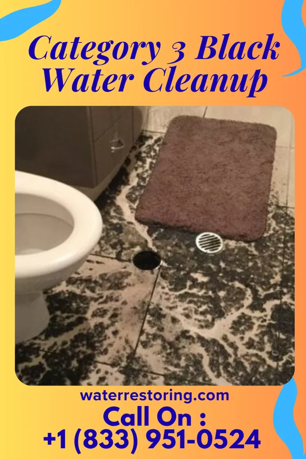 Category 3 Black Water Cleanup in Rockingham, NC