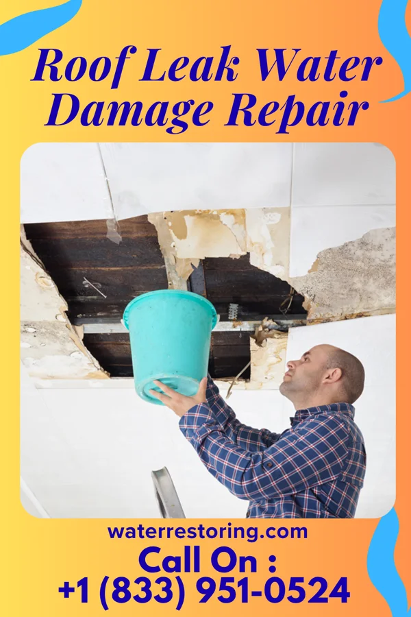 Roof Leak Water Damage Repair in Rockingham, NC